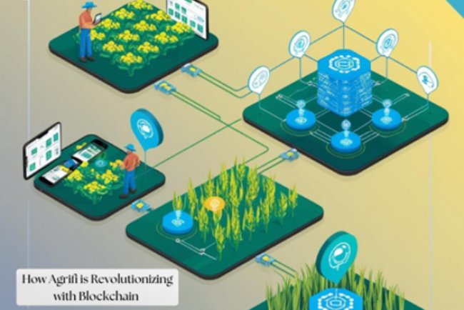 How AgriFi is Revolutionizing Farming with Blockchain.