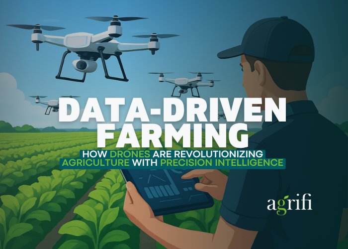Data-Driven Farming: How Drones Are Revolutionizing Agriculture with Precision Intelligence