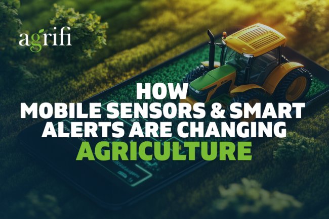 How Mobile Sensors and Smart Alerts Are Changing Agriculture