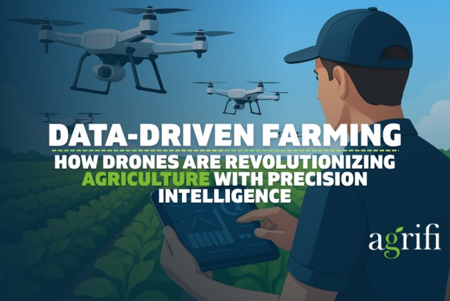 Data-Driven Farming: How Drones Are Revolutionizing Agriculture with Precision Intelligence