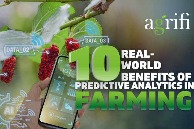 10 Real-World Benefits of Predictive Analytics in Farming