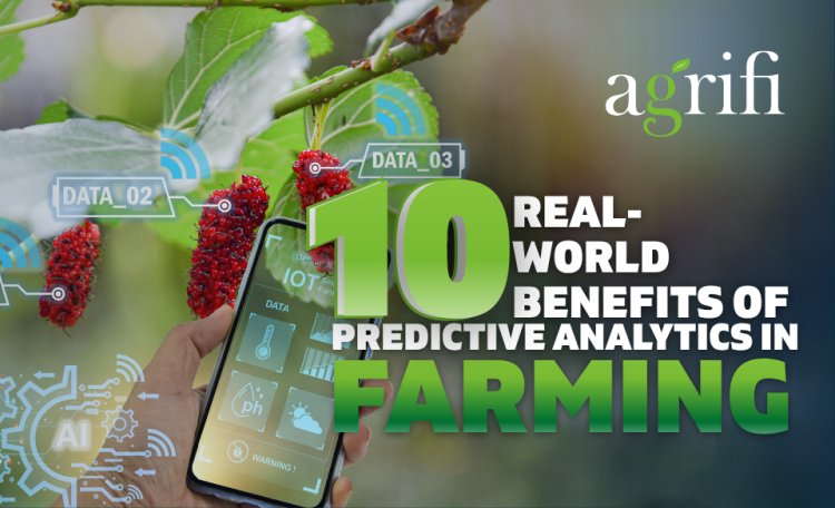 10 Real-World Benefits of Predictive Analytics in Farming